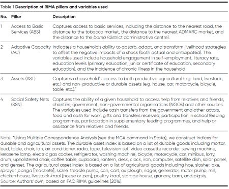 Table 1 Description of RIMA pillars and variables used